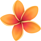 Orange Tropical Flower PNG Clip Art Image