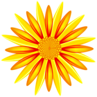 Orange Yellow Flower PNG Transparent Clipart
