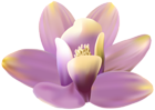 Orchid Soft Purple PNG Transparent Clipart