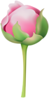 Peony Bud PNG Clipart
