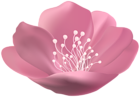 Pink Beautiful Flower PNG Transparent Clipart