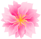 Pink Cute Flower PNG Transparent Clipart