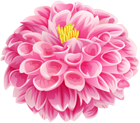 Pink Dahlia Flower Clip Art Image