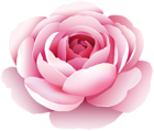 Pink Decorative Flower Transparent Image