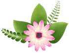 Pink Flower Clip-Art PNG Image