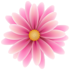 Pink Flower Clip Art Image