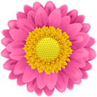 Pink Flower Clip Art PNG Image