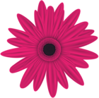 Pink Flower Clip Art PNG Image