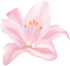 Pink Flower Clip Art PNG Transparent Image