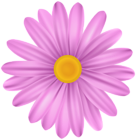 Pink Flower Daisy PNG Transparent Clipart
