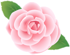 Pink Flower Deco PNG Clip Art Image