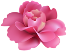 Pink Flower Deco PNG Clip Art Image