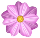 Pink Flower Decoration Clipart Image