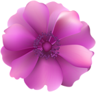 Pink Flower Decorative Transparent Clip Art