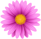 Pink Flower PNG Clip Art