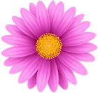 Pink Flower PNG Clip Art | Gallery Yopriceville - High-Quality Images