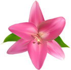 Pink Flower PNG Clip Art Image