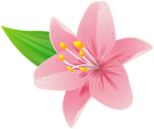 Pink Flower PNG Clipart