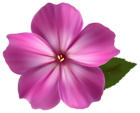 Pink Flower PNG Clipart Image