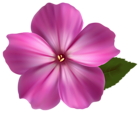 Pink Flower PNG Clipart Image | Gallery Yopriceville - High-Quality