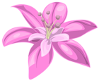 Pink Flower PNG Image
