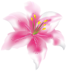 Pink Flower PNG Transparent Clipart