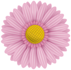 Pink Flower PNG Transparent Clipart