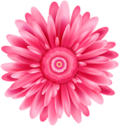 Pink Flower Transparent Clip Art