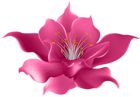 Pink Flower Transparent Clip Art Image
