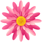 Pink Flower Transparent PNG Clipart