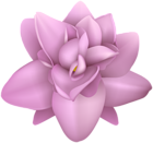 Pink Flower Transparent PNG Image