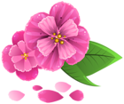 Pink Flower with Petals PNG Clipart Image