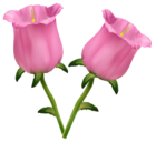 Pink Flowers Bells PNG Clipart Image