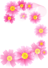 Pink Flowers Full Transparent Clipart