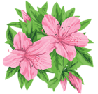Pink Flowers PNG Clip-Art Image