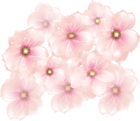 Pink Flowers Transparent Clipart | Gallery Yopriceville - High-Quality