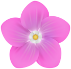 Pink Garden Flower Decor PNG Clipart