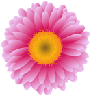 Pink Gerber Flower PNG Clip Art Image