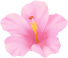 Pink Hibiscus Flower PNG Clipart