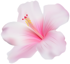Pink Hibiscus Transparent PNG Clip Art
