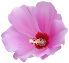 Pink Hibiscus Transparent PNG Clip Art Image