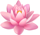 Pink Lily Flower PNG Clip Art Image