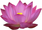 Pink Lotus Clip Art PNG Image