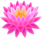 Pink Lotus Transparent PNG Clip Art Image