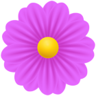 Pink PNG Flower Transparent Clipart