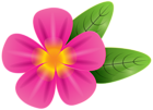 Pink Tropic Flower PNG Clip Art Image