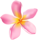 Pink Tropic Flower PNG Clipart