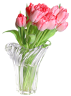 Pink Tulips in Vase PNG Clip Art Image