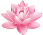 Pink Water Lily PNG Clipart