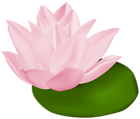 Pink Water Lily Transparent PNG Clip Art Image